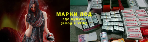 ECSTASY Богданович