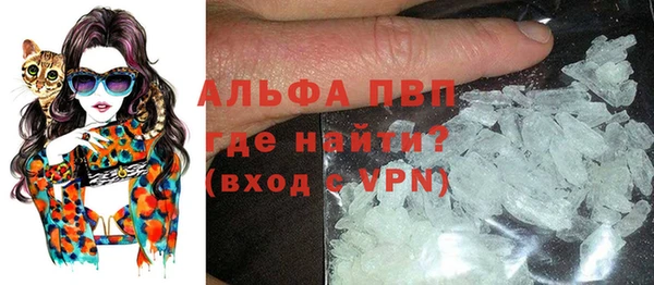 ECSTASY Богданович