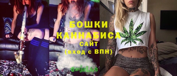 ECSTASY Богданович