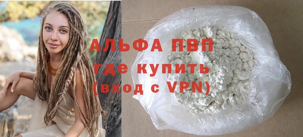 ECSTASY Богданович